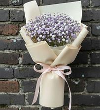 Букет цветов из:  Гипсофила в Пешки