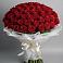 Букет 101 Красная роза Блэк Мэджик в Пешки