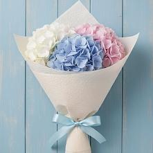 Букет цветов из:  Гортензия в Пешки