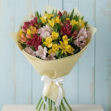 Букет цветов из:  Альстромерии в Пешки