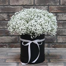 Цветочная композиция из Гипсофила в шляпной коробке #REPLACE_PRED# Пешки