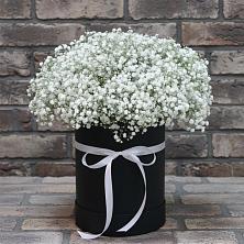Цветочная композиция из Гипсофила в шляпной коробке в Пешки