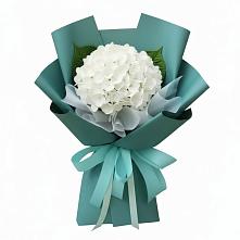 Букет цветов из:  Гортензия в Пешки